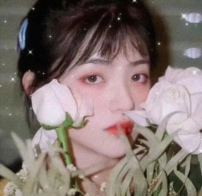 女皇之刃~美丽女斗士们