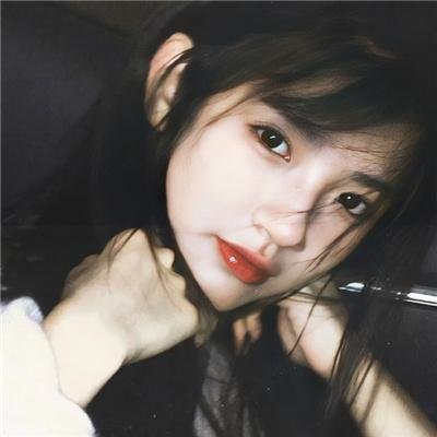 巨齿鲨